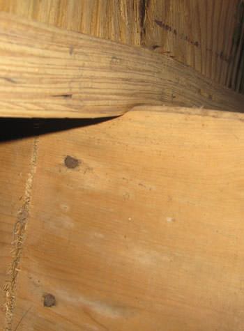severe damage to a crawl space structure in a Hope Mills home