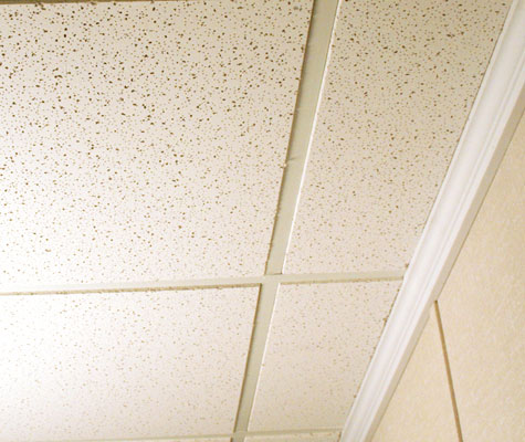 Bat Drop Ceiling Tiles Finishing Total Bat Finishing Has A Ceiling System Uniquely Suited For Bats Drop Is Ideal Giving You Access To Plumbing And
