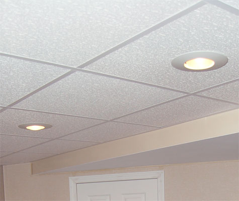 Bat Drop Ceiling Tiles Finishing Total Bat Finishing Has A Ceiling System Uniquely Suited For Bats Drop Is Ideal Giving You Access To Plumbing And