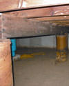 Mold and rot thriving in a dirt floor crawl space in Fayetteville