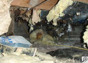 A messy crawl space filled with rotting insulation and debris in Hubert.