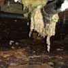 Fiberglass insulation dripping off a pipe in Dudley.