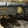 Fiberglass insulation dripping off a floor joist in a soaked crawl space with a think black liner in Fayetteville.