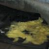Disintegrated fiberglass insulation sitting in a pool of water in Supply.