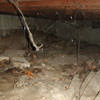 A crawl space with spiderwebs, mold, and uneven floors in Pinehurst.