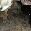 A dirt crawl space with water-soaked fiberglass insulation in La Grange.