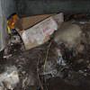 A rotting box sitting on a rock in a crawl space in Saint Pauls.