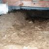 A muddy, disgusting crawl space with little or no head room in Rocky Point.