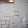 A cracked foundation wall near a window in a Saint Pauls home