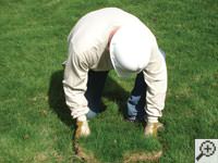 Restoring the landscaping by replacing removed sod on the ground for a Lumberton home.
