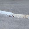 Slab floor cracks showing in a Saint Pauls home