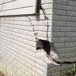 foundation walls cracked due to settlement in Fayetteville