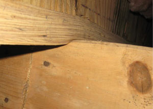 A failing girder showing signs of compression damage in a Supply home