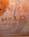 The word mold written with a finger on a moldy wood wall in Wrightsville Beach
