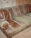 furniture in a Havelock basement destroyed by mold and dust mites