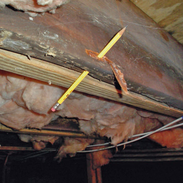 Repair Wood Damage In North Carolina Repair And Replacement Of