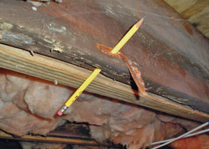 Destroyed crawl space structural wood in Laurinburg