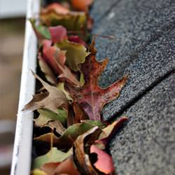 Clogged gutters filled with fall leaves  in Hubert