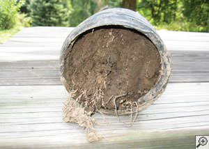 clogged french drain found in Red Springs, North Carolina