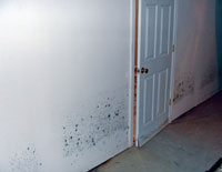 Damaged basement walls
